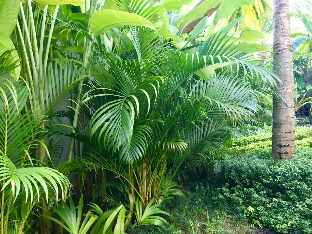 Mossca Mooi Hotel Ubud  Exterior photo